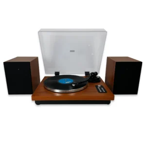 Professional Hi-Fidelity Vinyl Record Player with 30W Speakers and Bluetooth Output