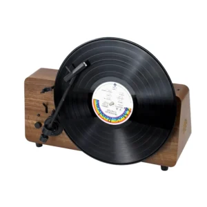 Vertical Vinyl Record Player with Built-in Speakers