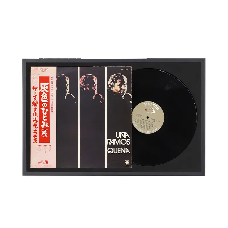 Wall Mounted Black Magnetic 12 inch Double Groove Record Album Frame - Image 2