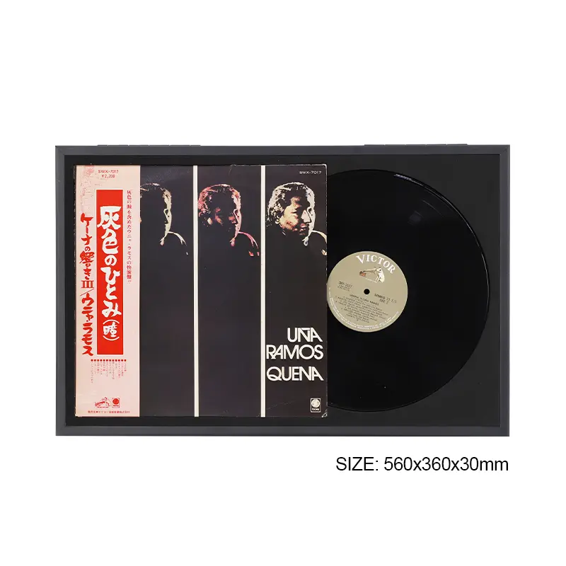 Wall Mounted Black Magnetic 12 inch Double Groove Record Album Frame - Image 6