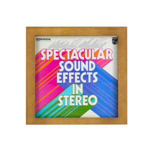 Vinyl Album Record Wall Frame 12" Display Case